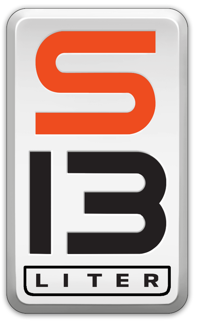 s13 logo